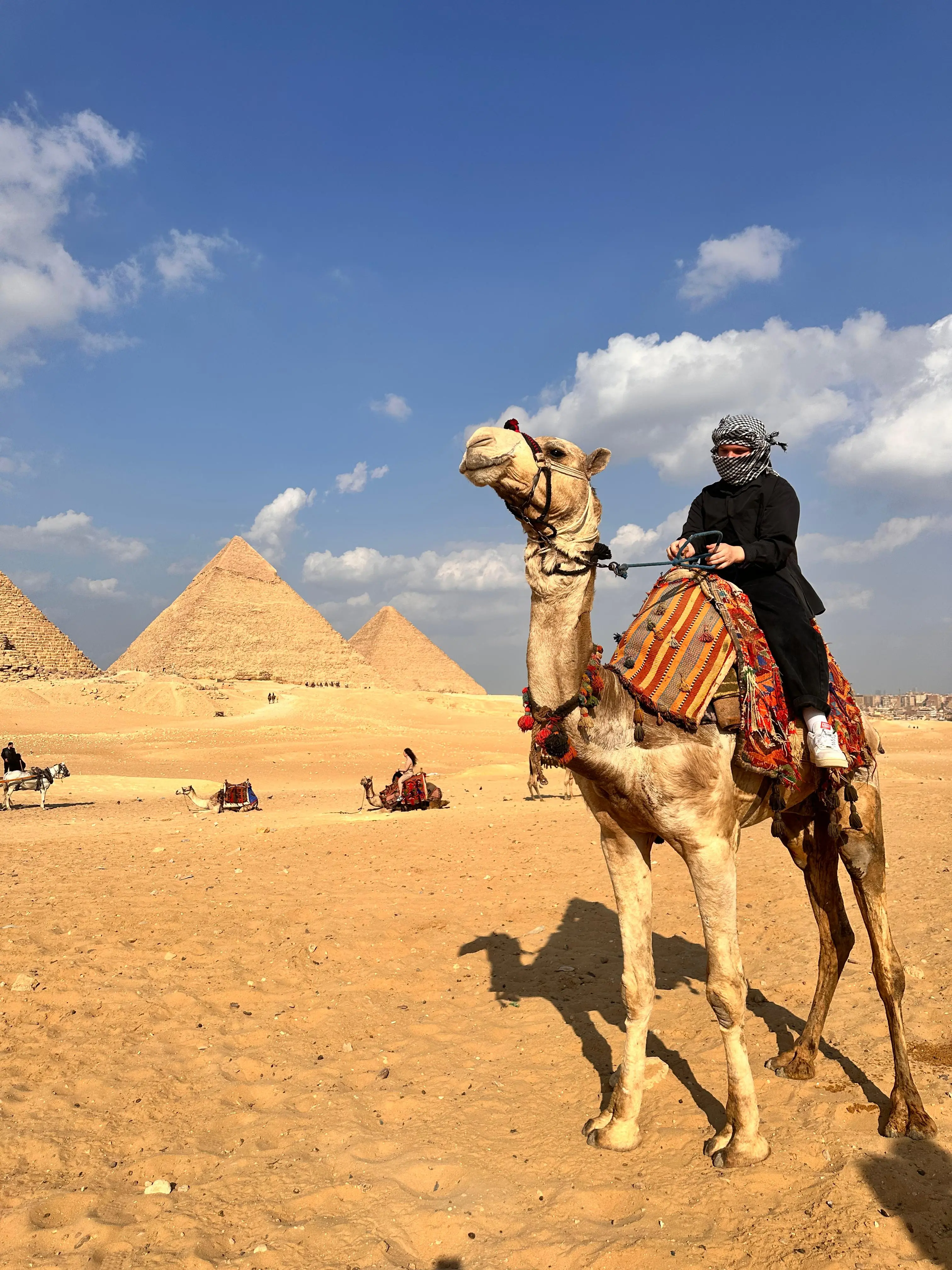Full day Giza Pyramids Saqqarah Memphis